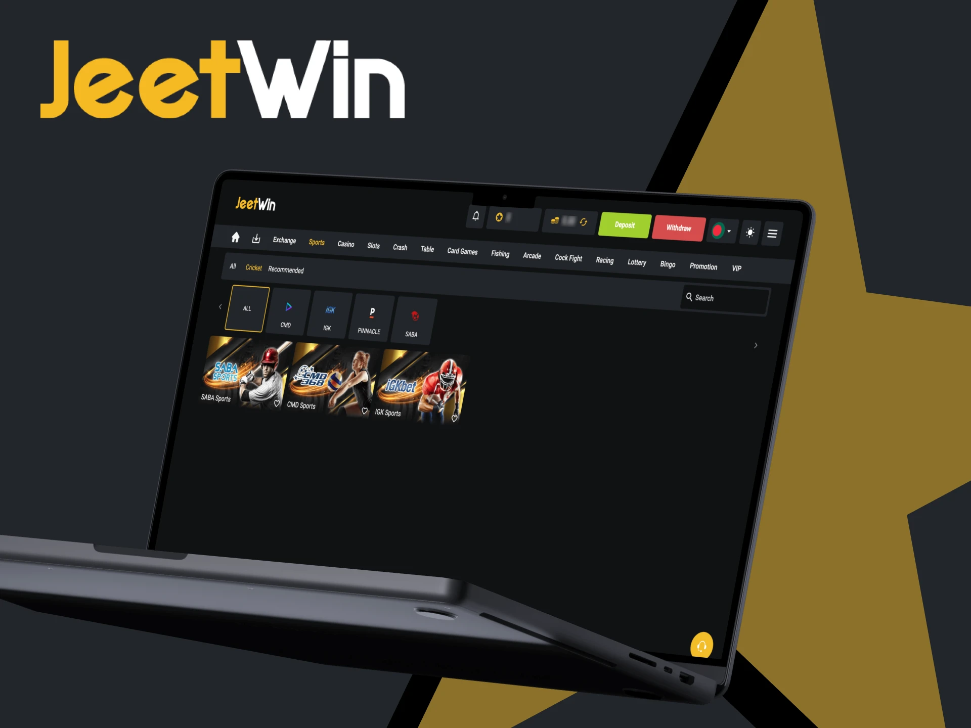 Learn some tips for betting on IPL at JeetWin.