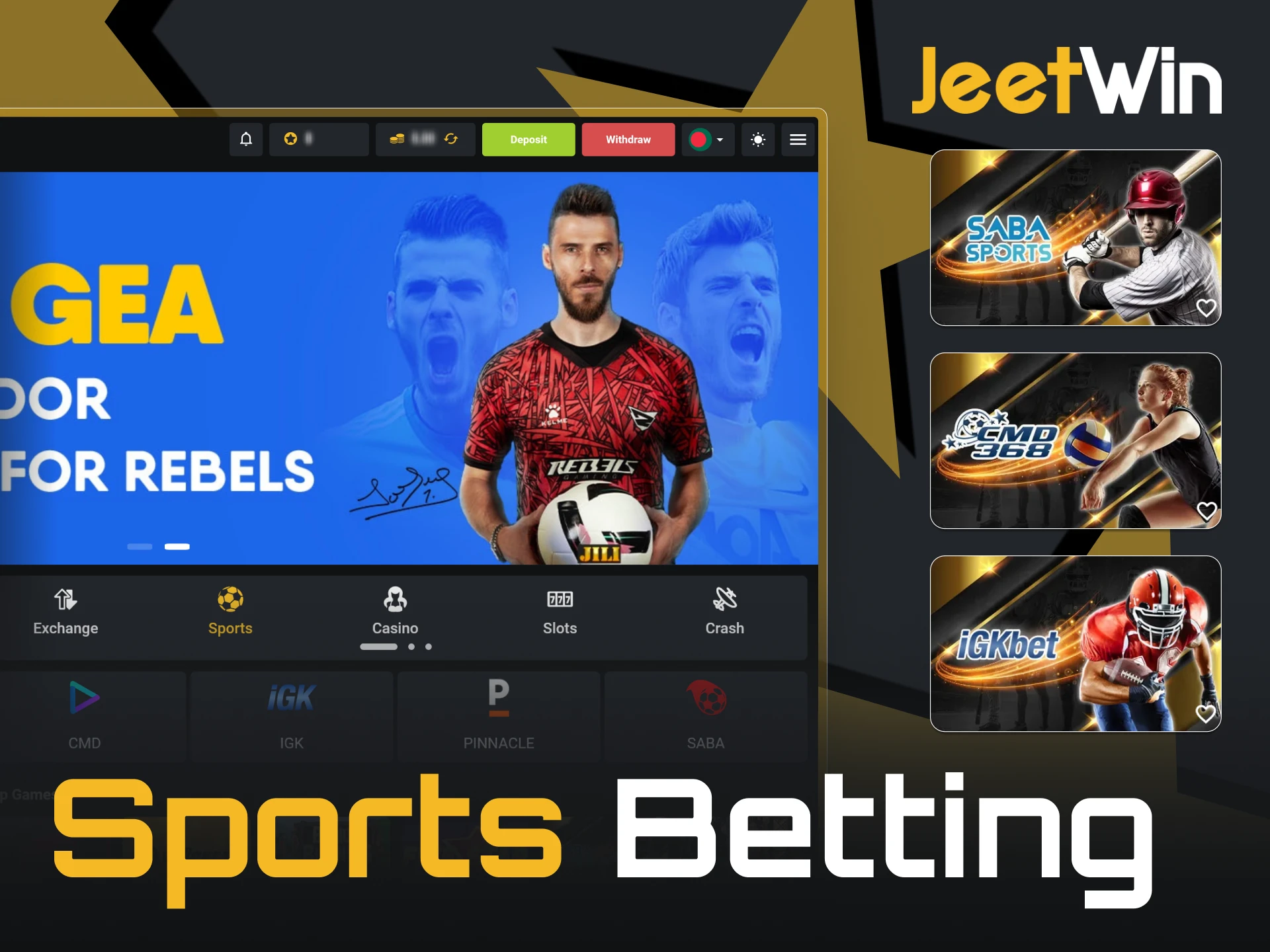 You can find over 30 categories of sports at JeetWin.